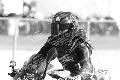media/Feb-23-2025-2WTD (Sun) [[9604a77d5d]]/1-Around the Pits/